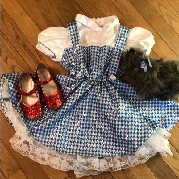 Costumes Wizard Of Oz Dorothy Costume Shoes Toto Toddler Poshmark